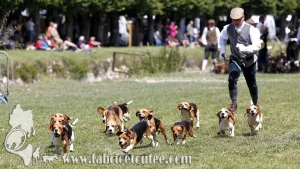 Breil 2014 0053