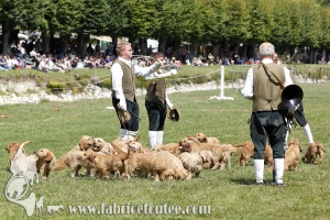 Breil 2014 0060
