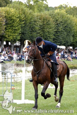 Breil 2014 0147