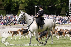 Breil 2014 0173