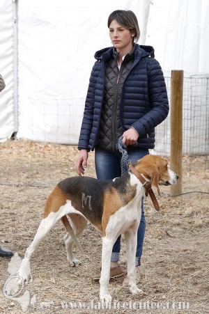 NE-SULLY-2019-0123