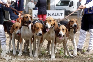 NE-SULLY-2019-0211