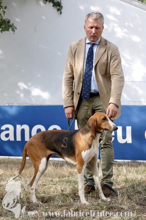 NE-SULLY-2019-0233